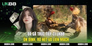 Đá Gà Trực Tiếp C1 UK88 Ổn Định, Rõ Nét Và Liền Mạch