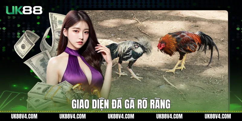 Giao diện đá gà rõ ràng